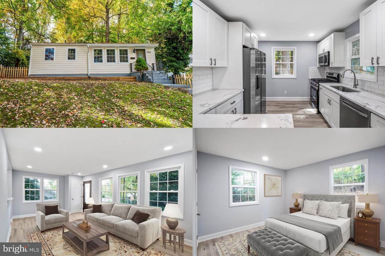11816 College View Drive - Photo 1