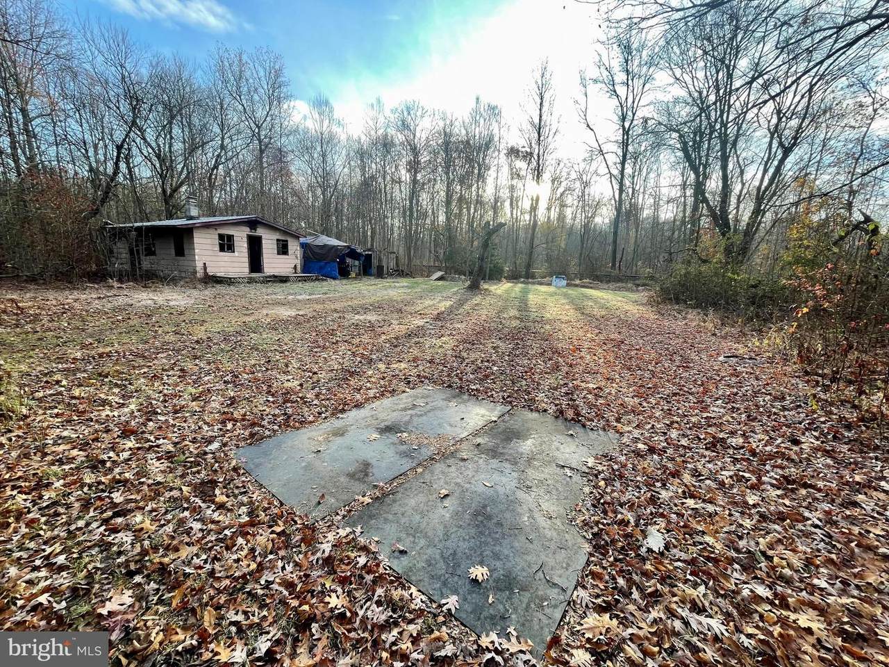 34105 Golts Road - Photo 1