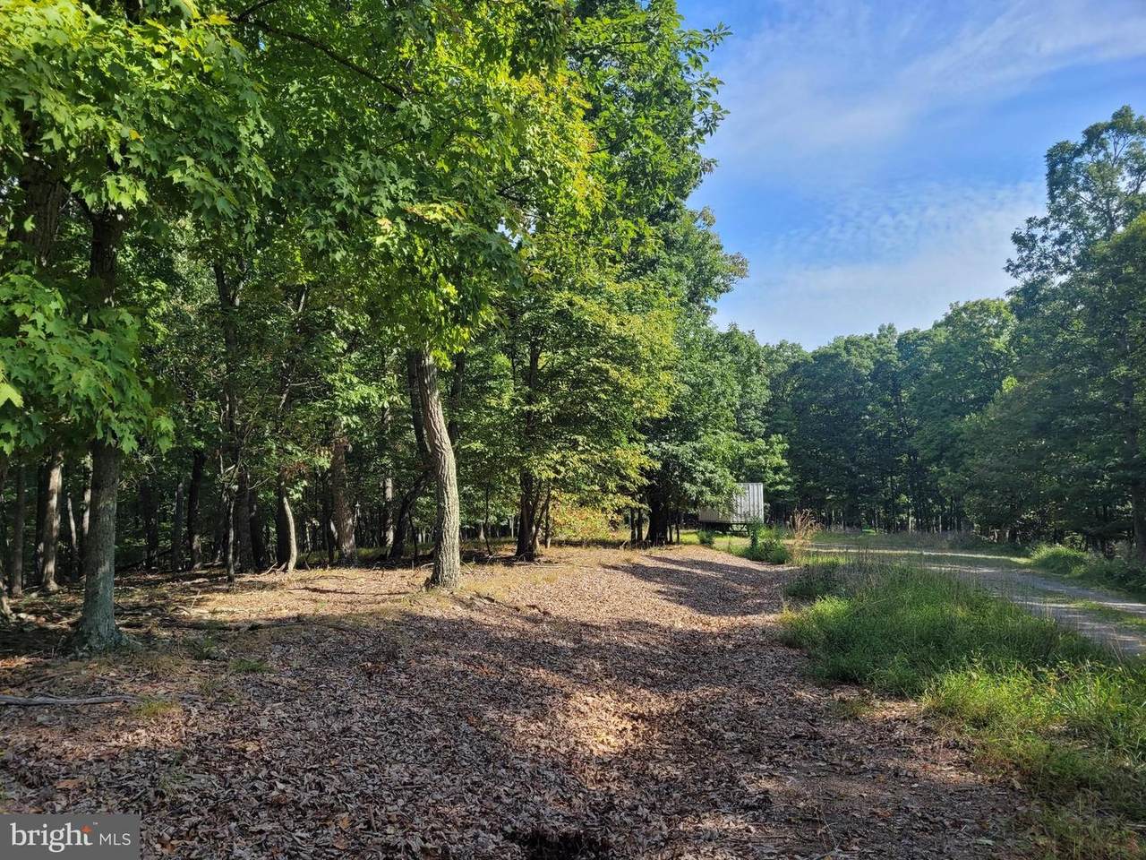 LOt 17 Cabin Run Rd - Photo 1