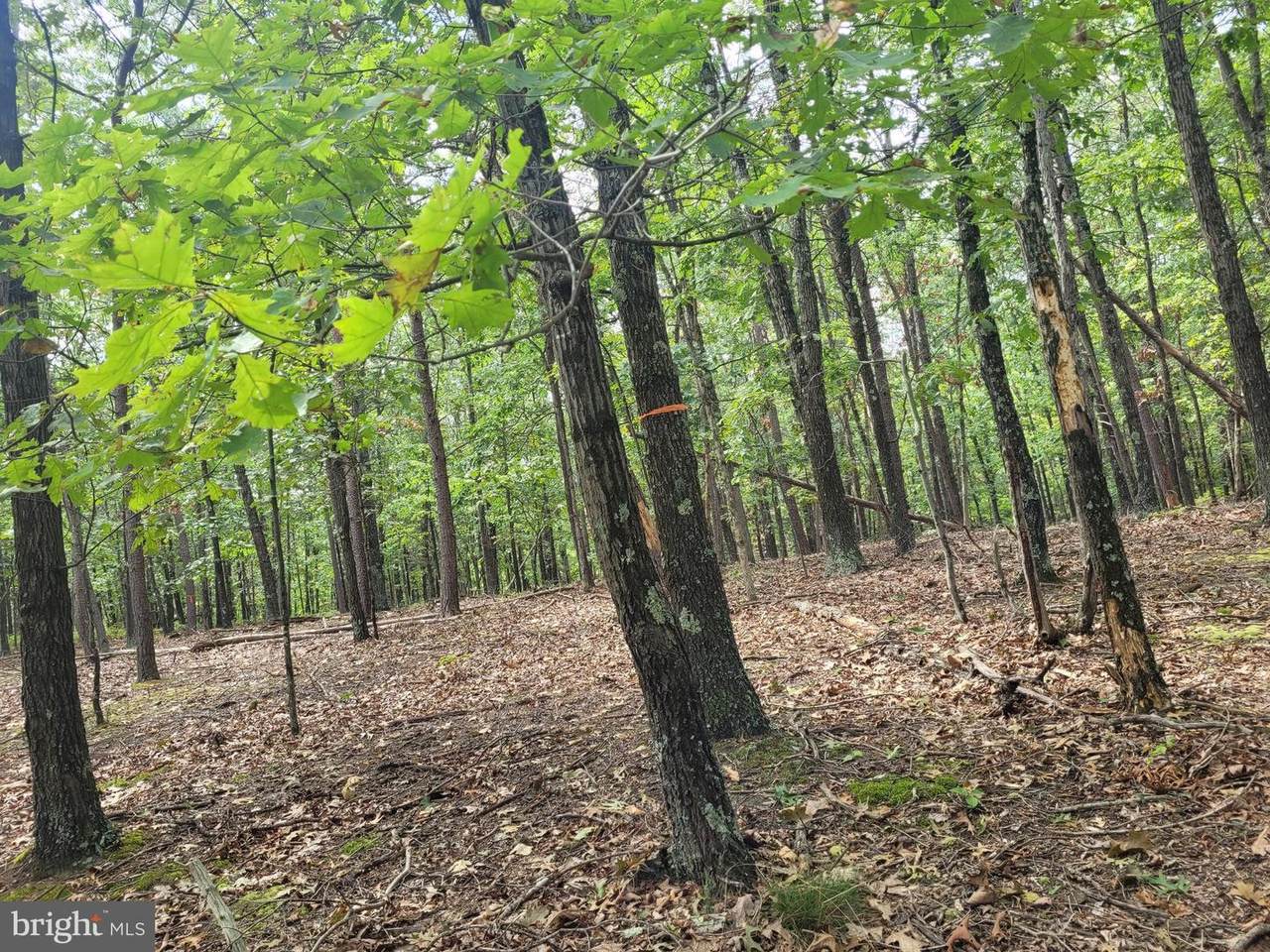 Lot 1 Cabin Run Rd - Photo 1
