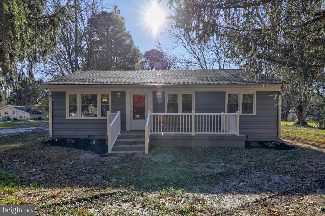 30441 Cannon Drive - Photo 1