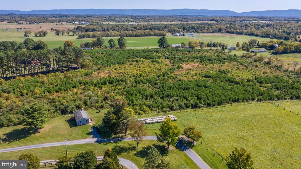 5317 Senseny Road - Photo 1