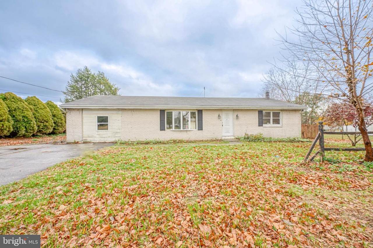 311 Pine Street - Photo 1