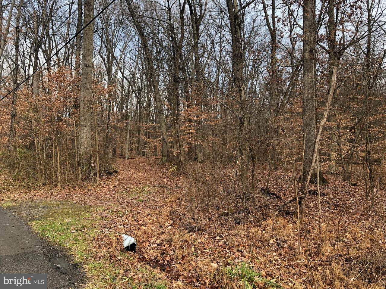 4681 Upper Mountain Road - Photo 1