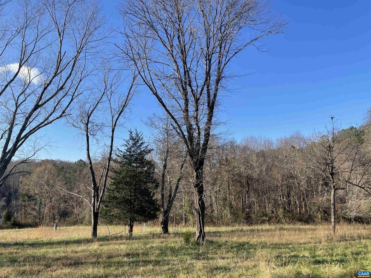 Lot A Grassmere Rd - Photo 1