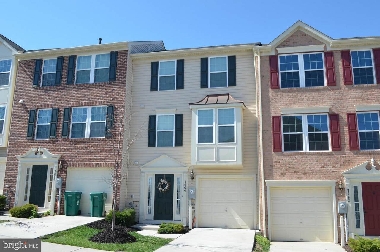 7264 Maidstone Place - Photo 1