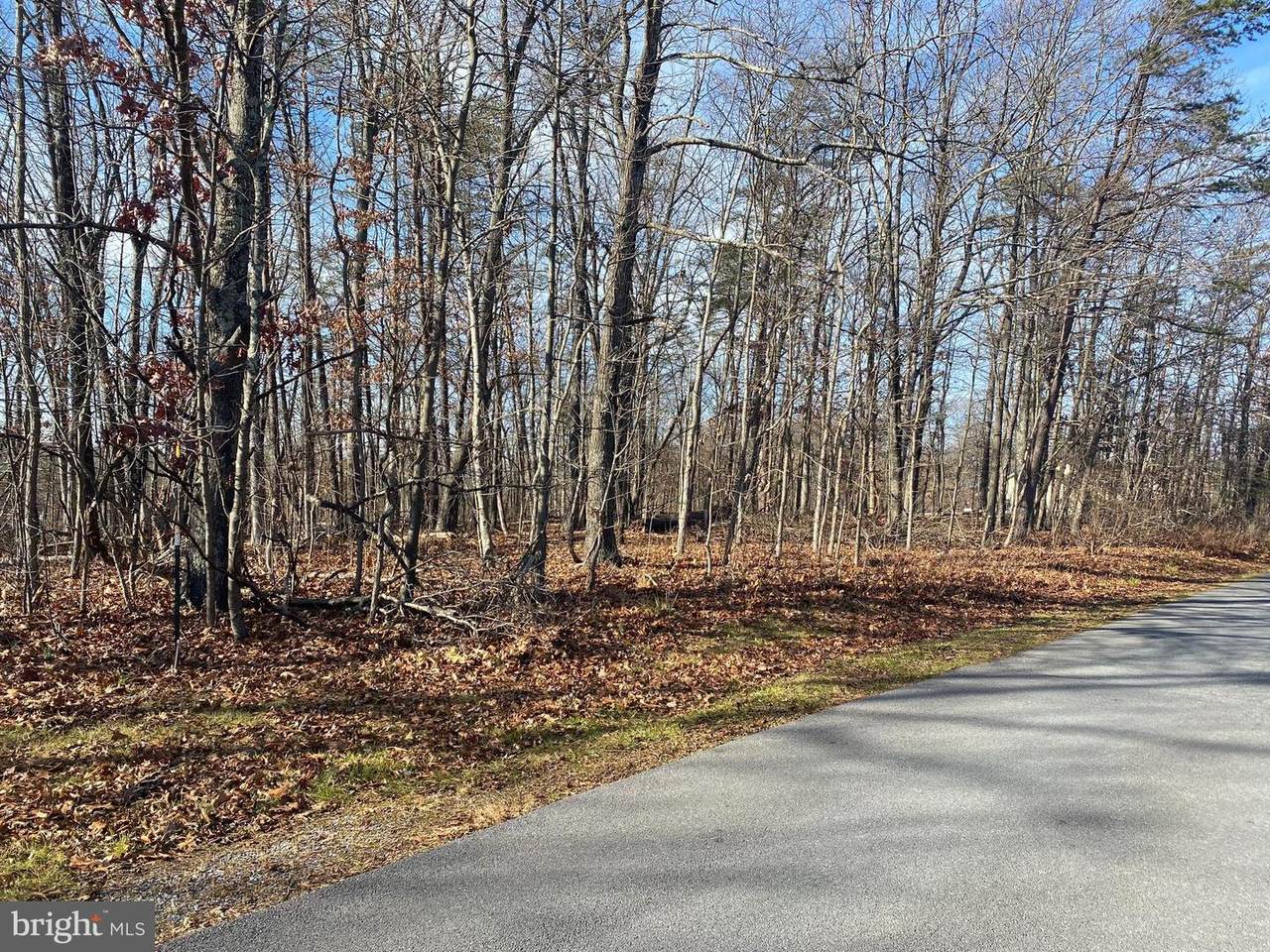 Lot 12 Shady Pine Drive - Photo 1