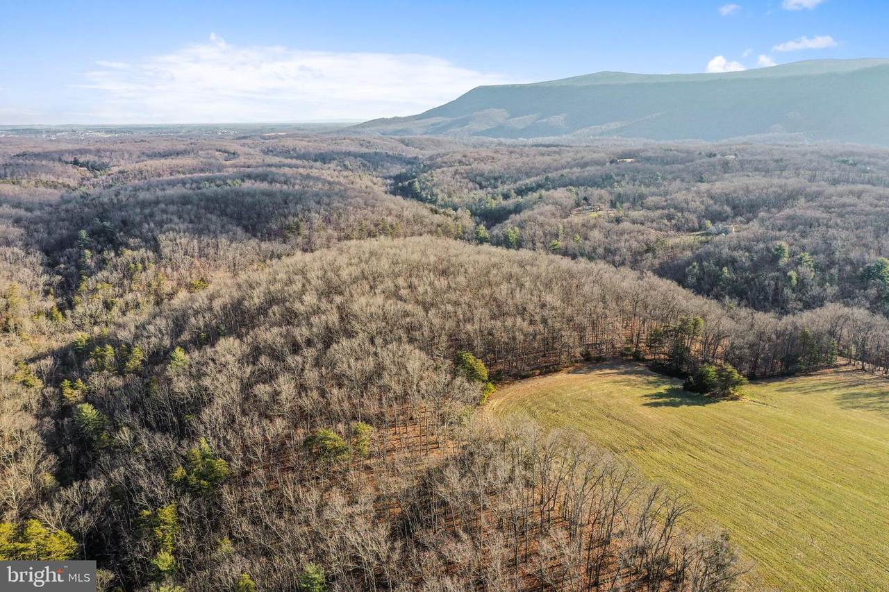 14 acres Hahns Lane - Photo 1