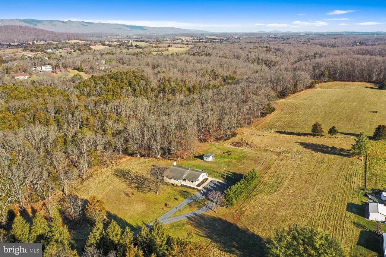 690 Hahns Ln (42 Acres) - Photo 1