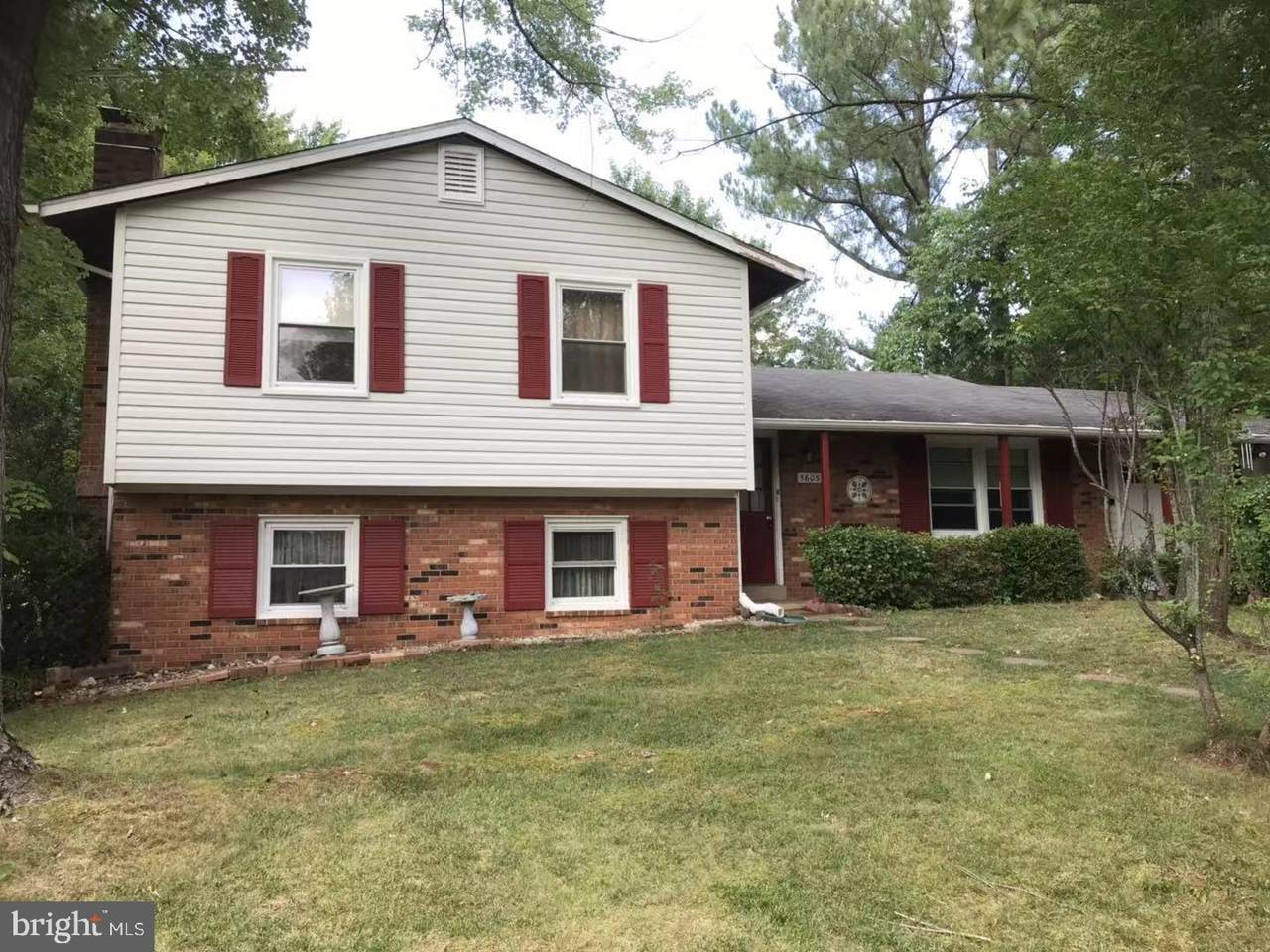 5603 Lalos Street - Photo 1