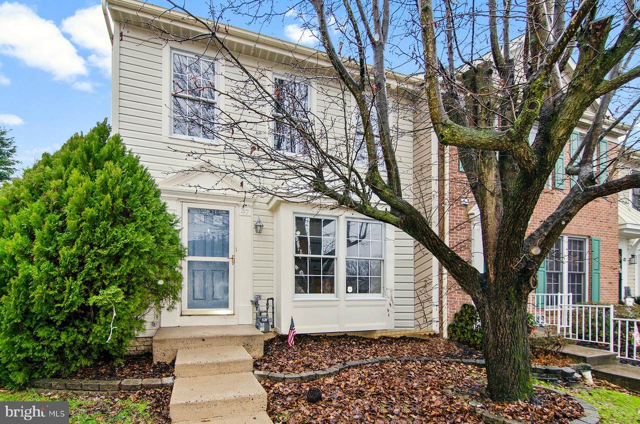 37 Cedarcone Court - Photo 1