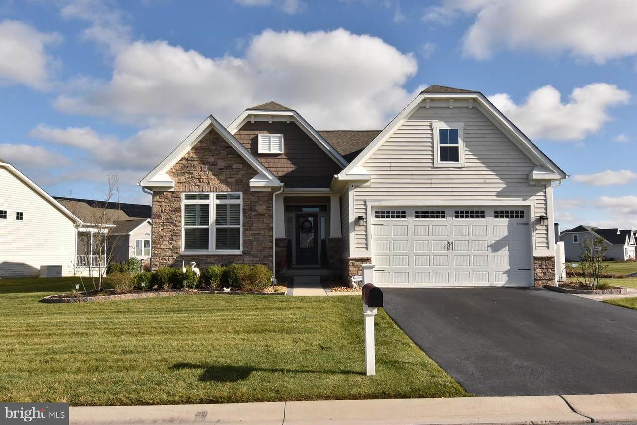 32016 Ivory Gull Way - Photo 1
