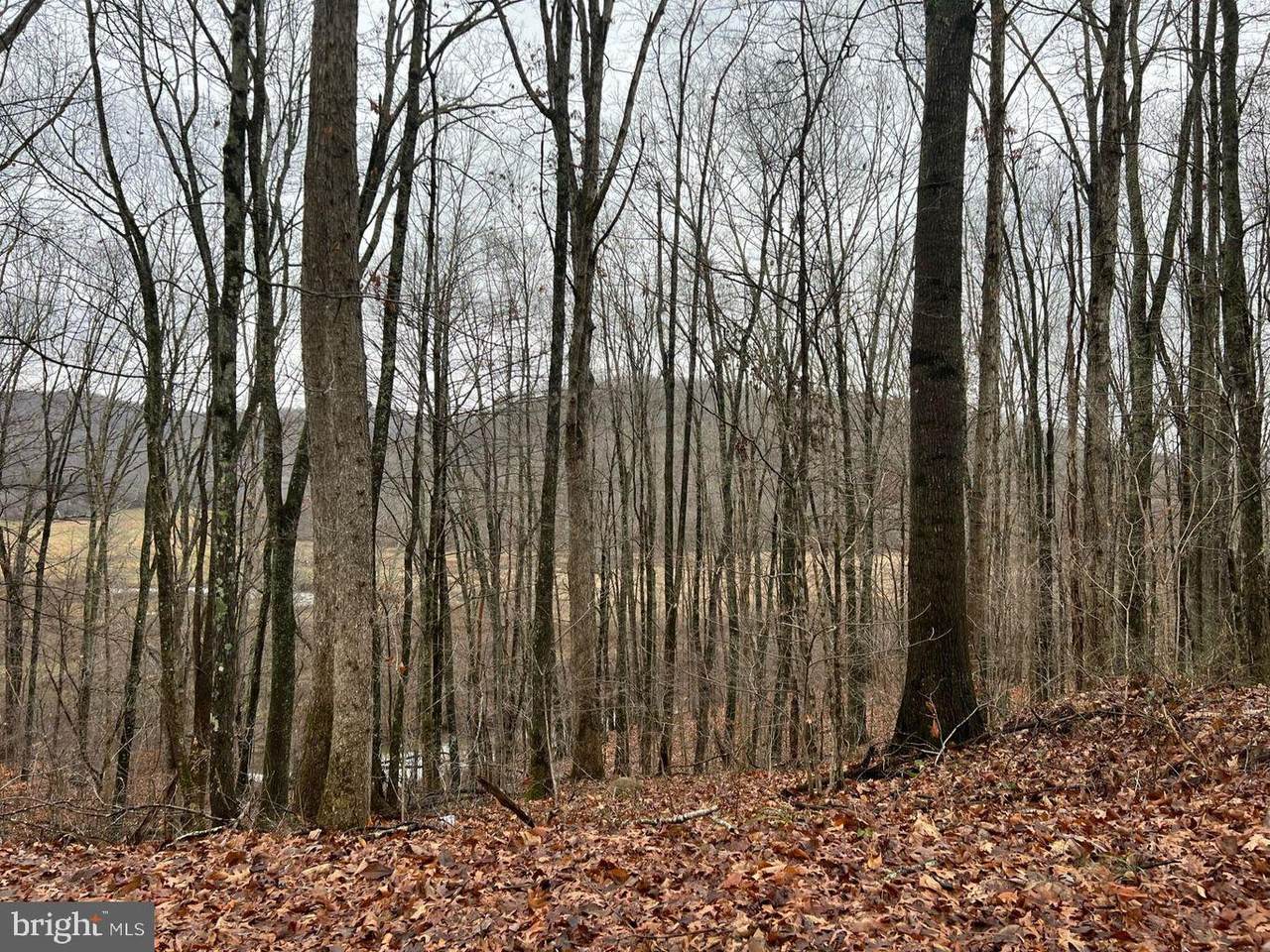 Wildcat Hill Rd - Photo 1