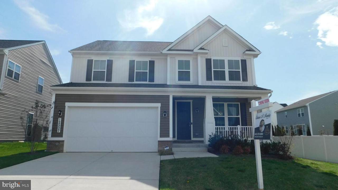 12507 Olivine Court - Photo 1