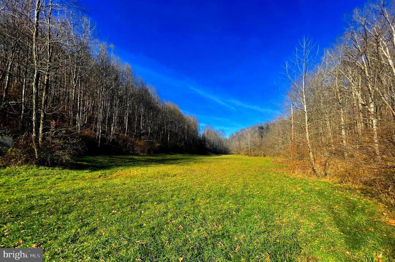 TBD Jones Run Road - Photo 1