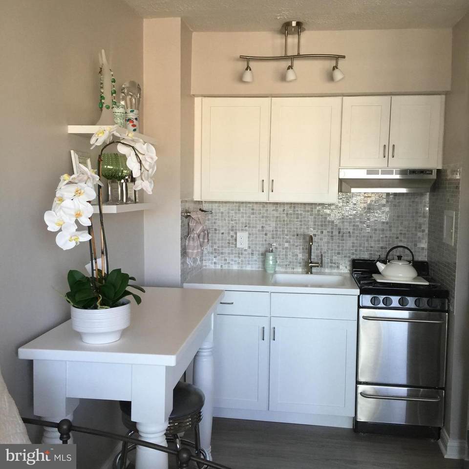2101-17 Chestnut Street - Photo 1