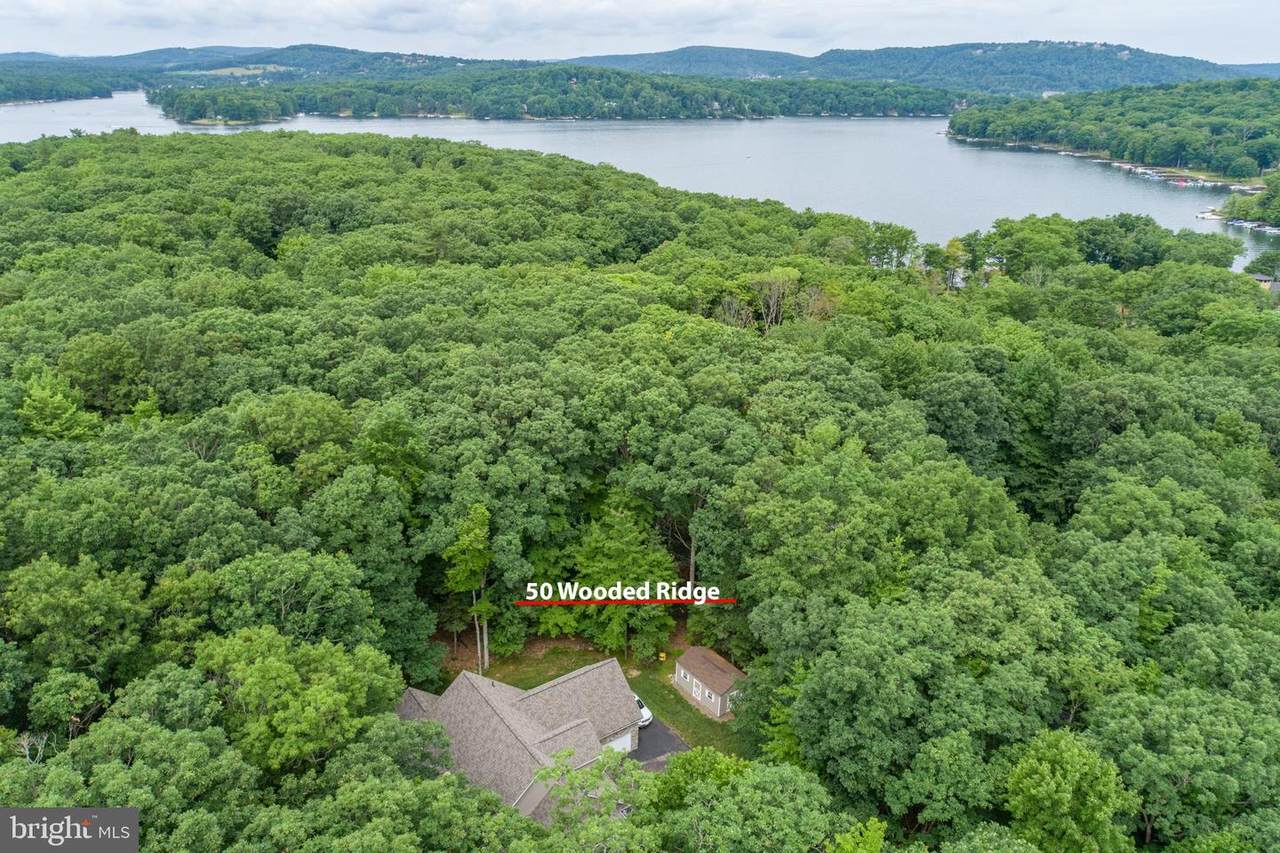 50 Wooded Ridge Road - Photo 1