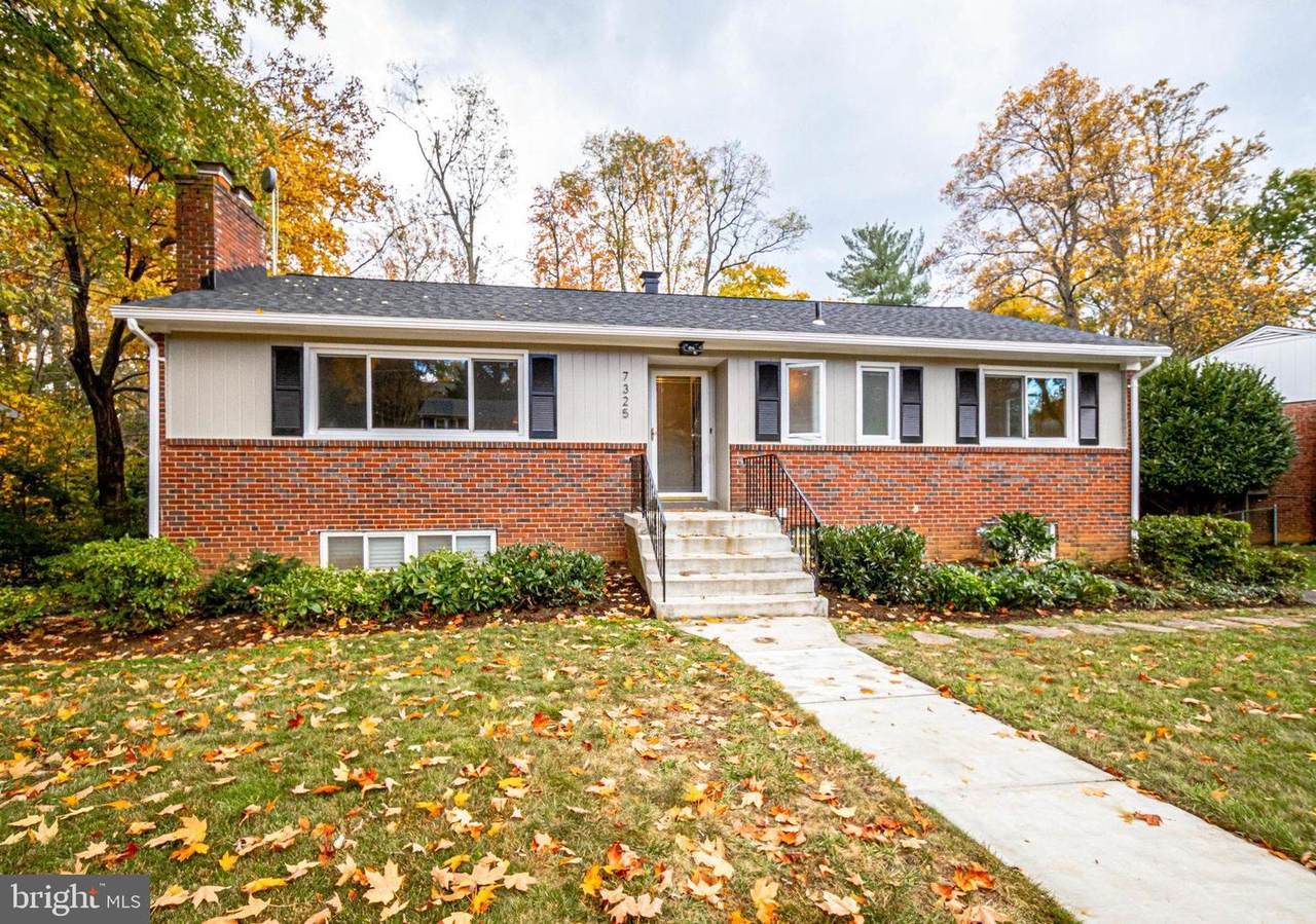 7325 Pinecastle Road - Photo 1