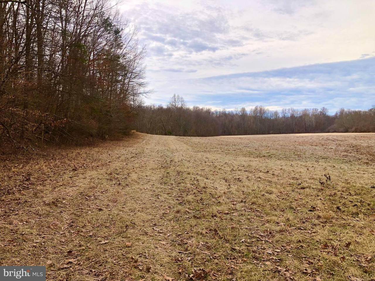 27200 Sunnyside Road - Photo 1