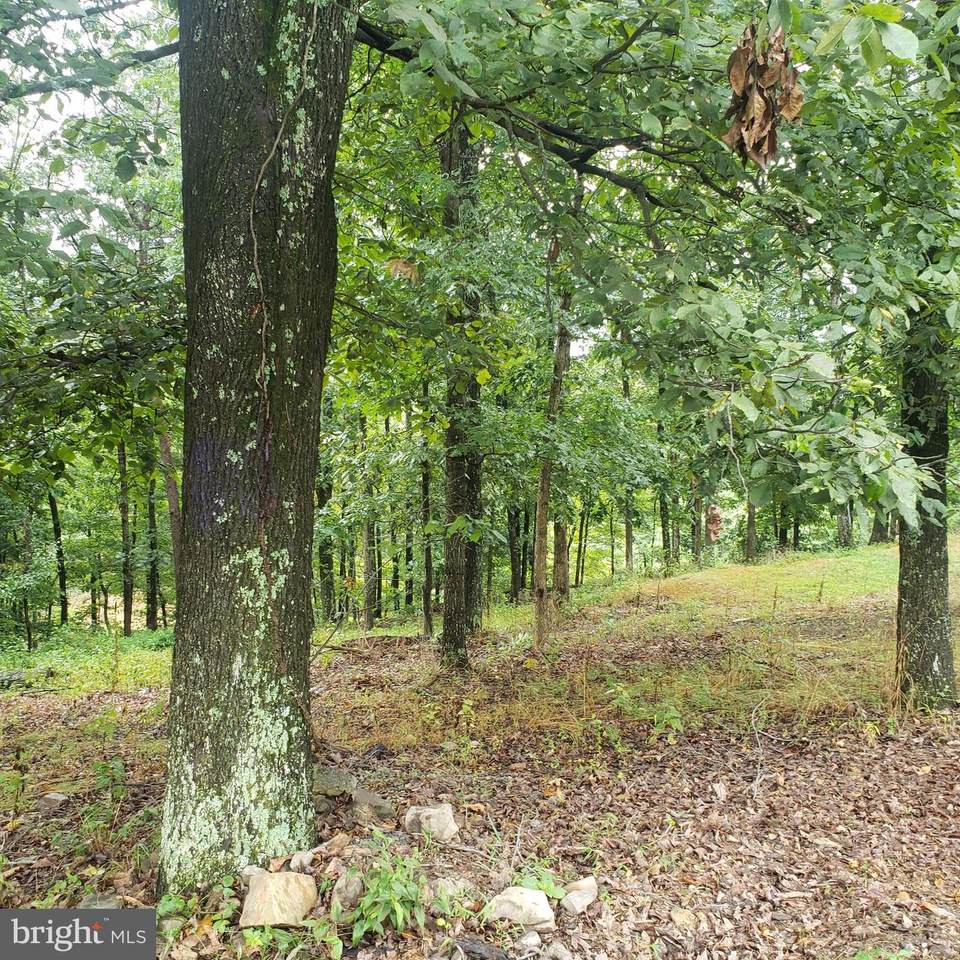 1220 Rio Grande Drive - Photo 1