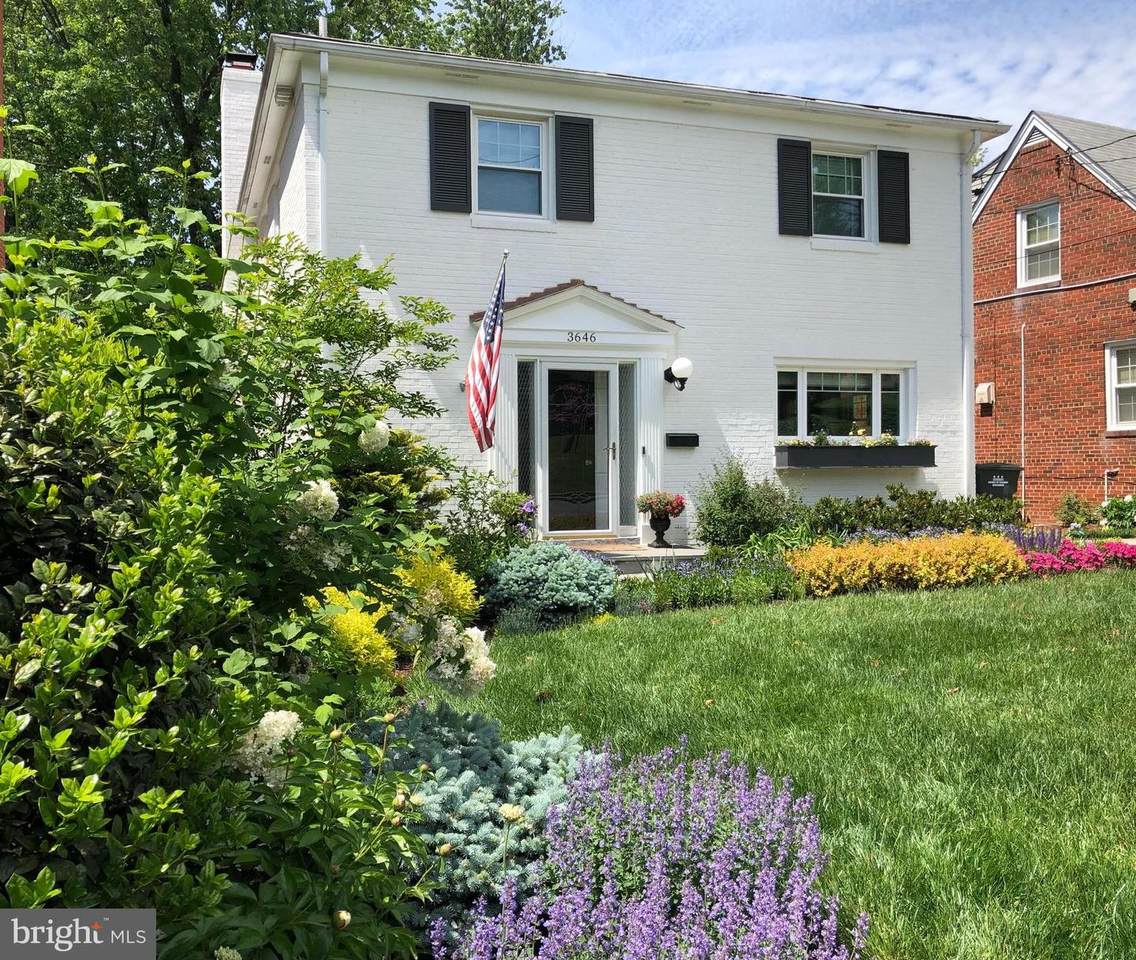 3646 Bangor Street - Photo 1