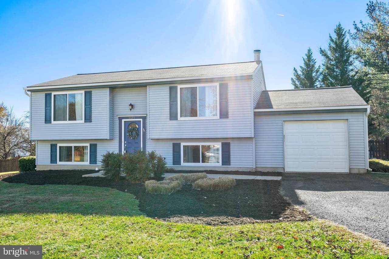 4425 Cub Run Road - Photo 1
