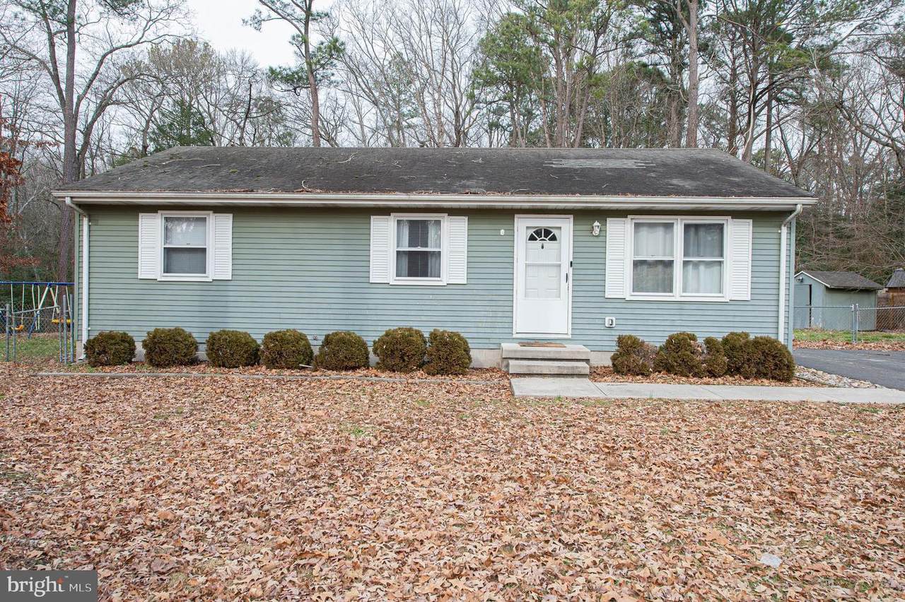 30442 Cannon Drive - Photo 1
