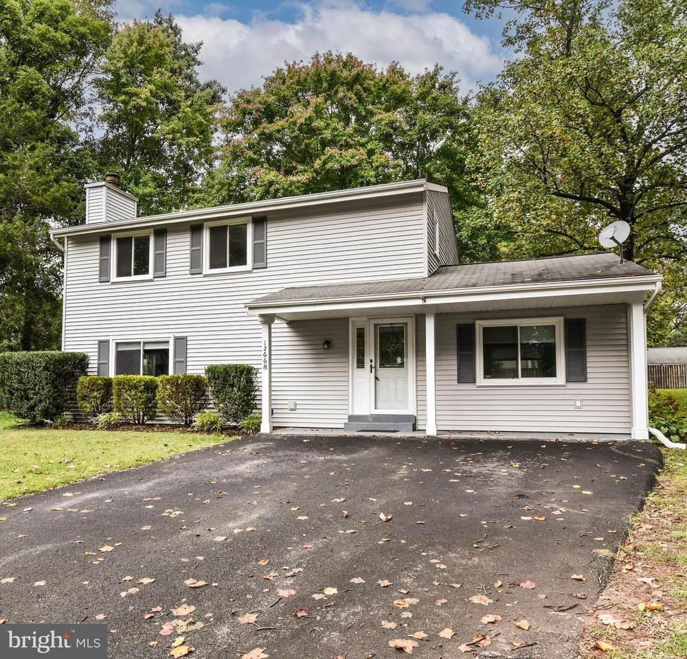 12668 Willow Spring Court - Photo 1