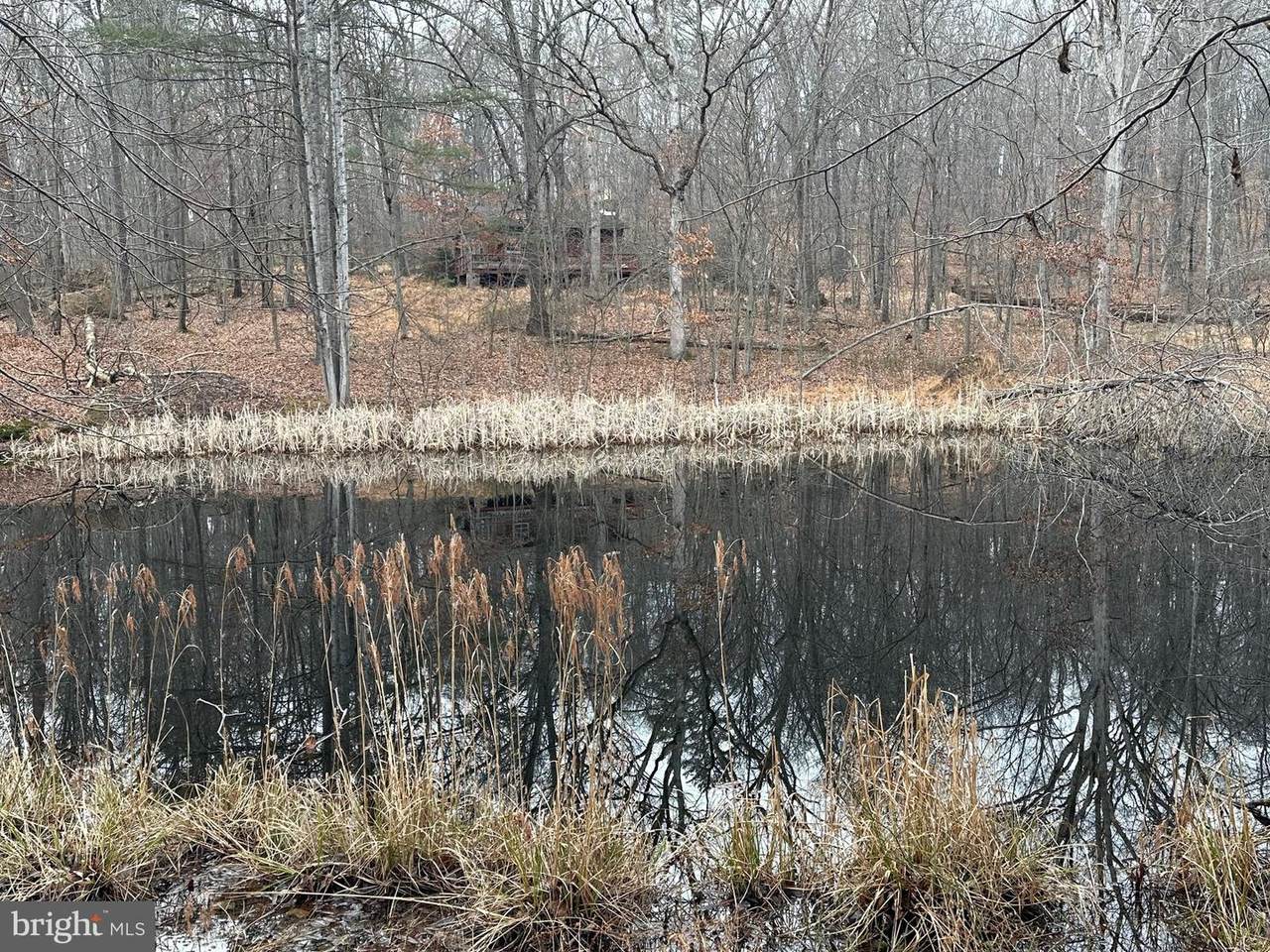 535 Mount Williams Lane - Photo 1