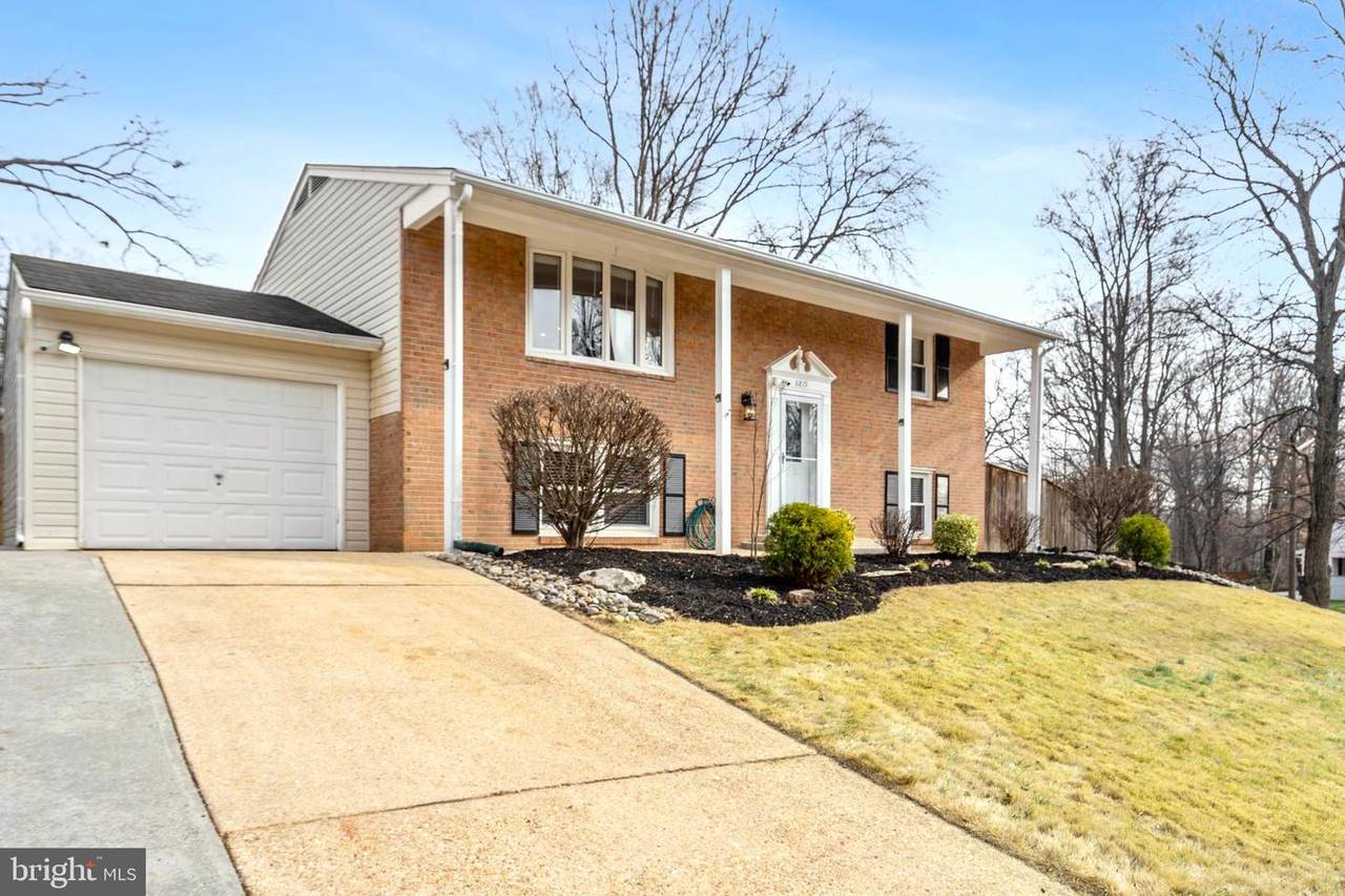 6819 Lavant Drive - Photo 1