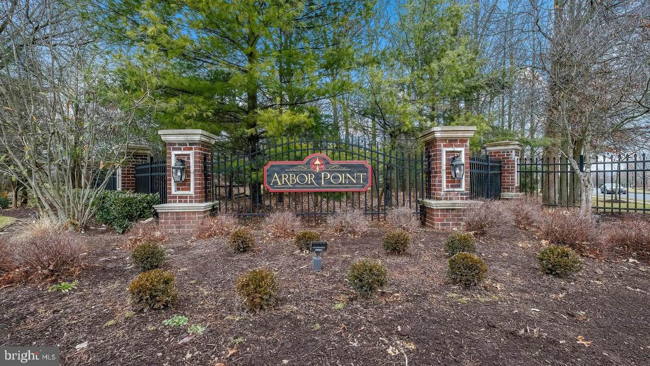 2251 Rosemont Trail - Photo 1