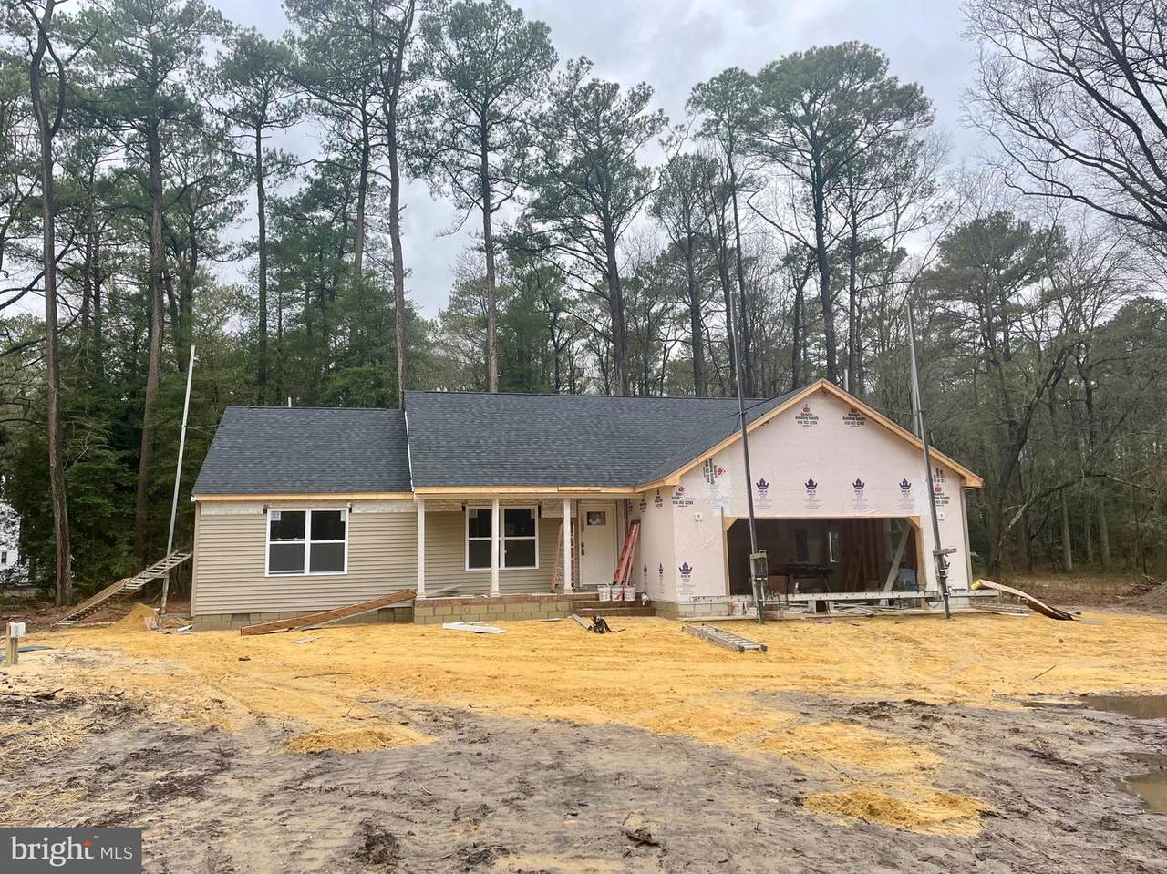 26300 Fire Tower Road - Photo 1