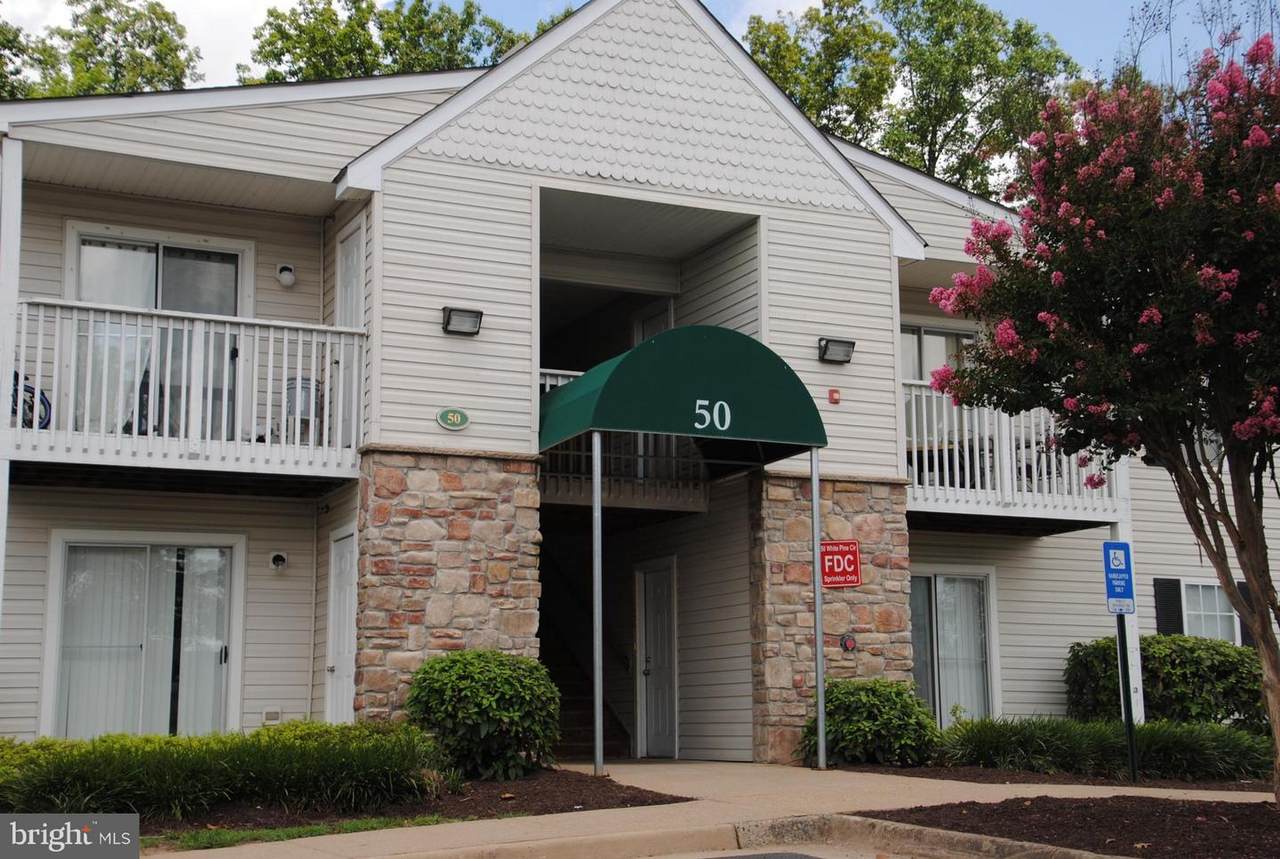 50 White Pine Circle - Photo 1
