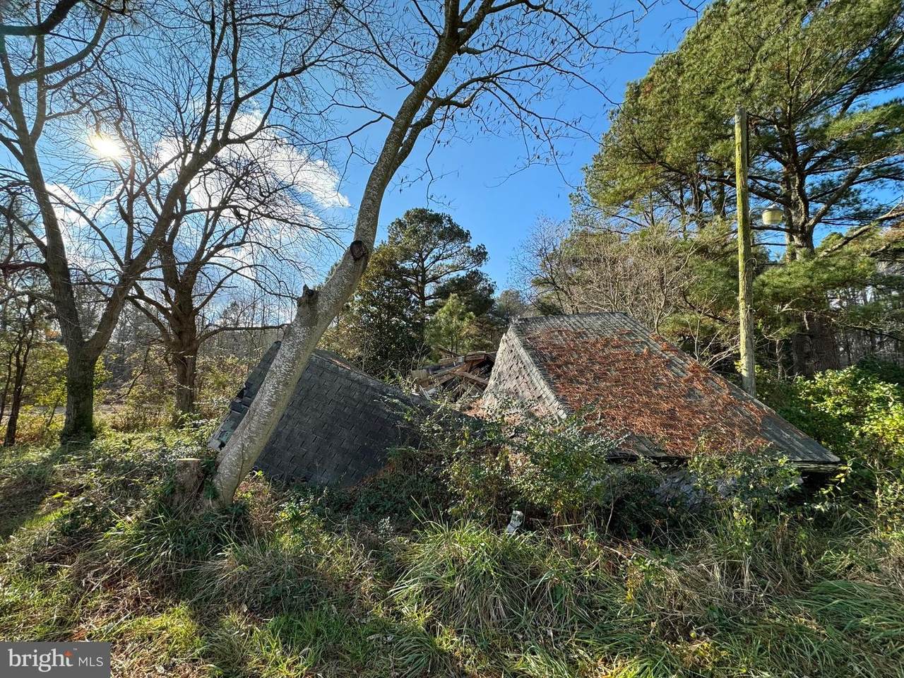 5730 Ward Road - Photo 1