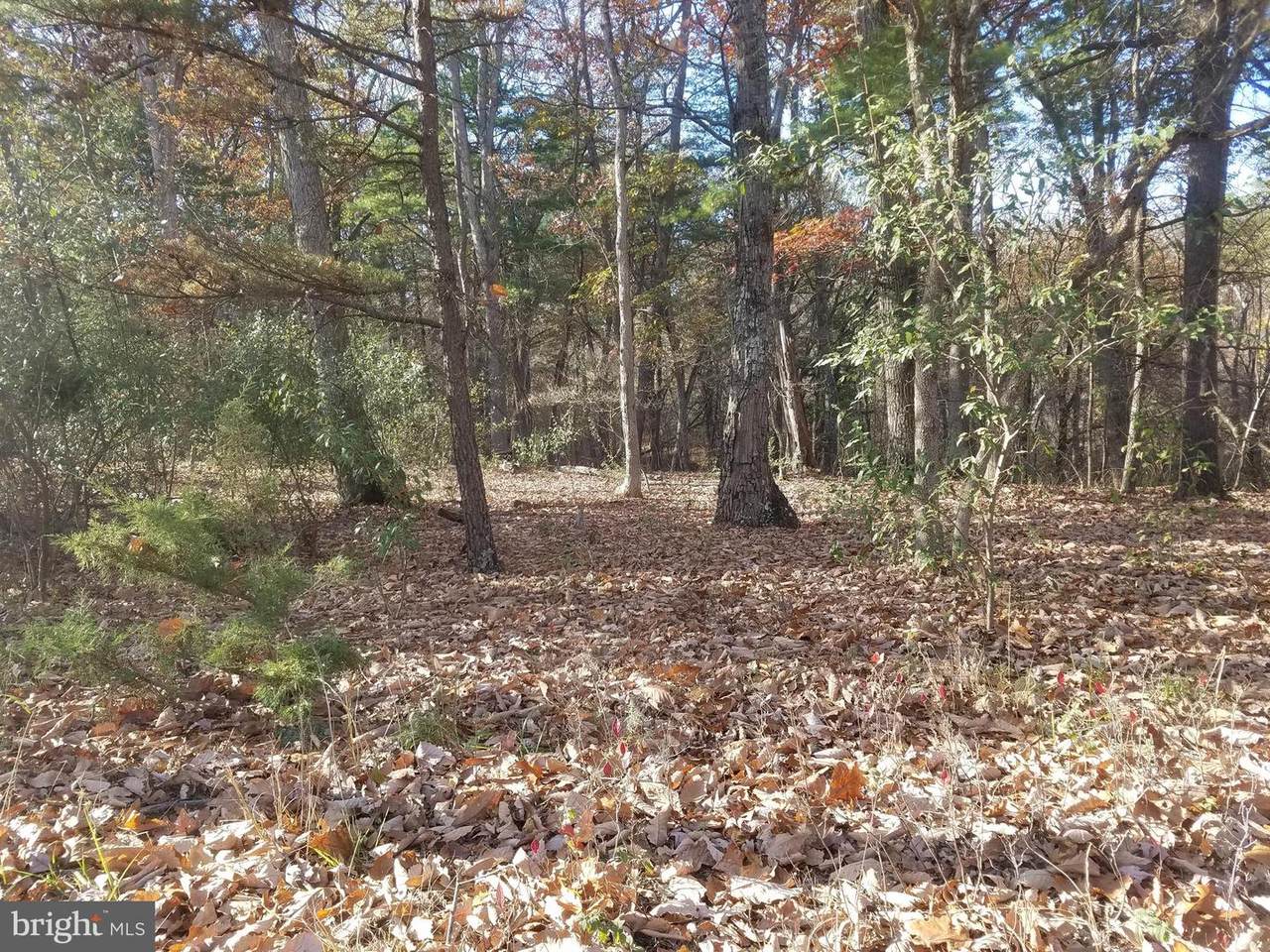  Turkey Hollow Road - Photo 1