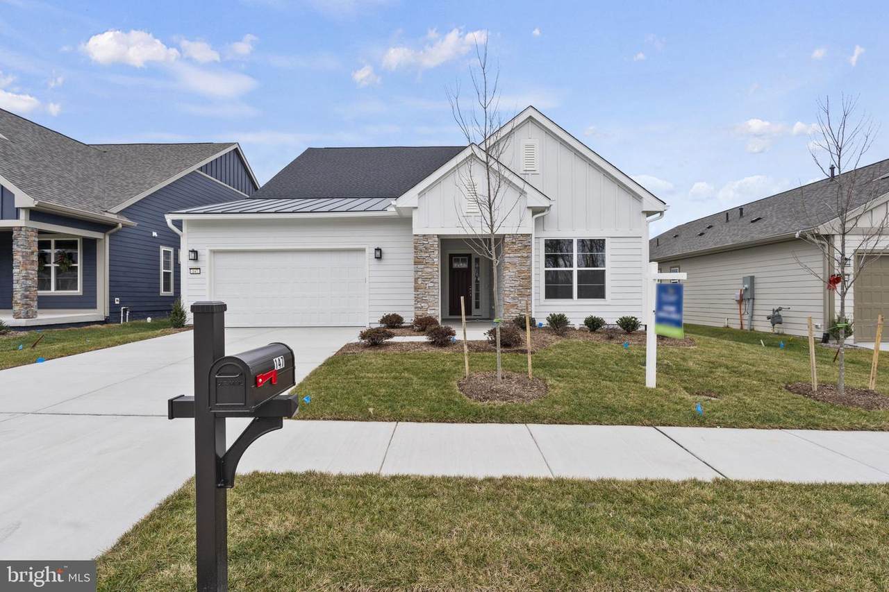 147 Cowbird Street - Photo 1