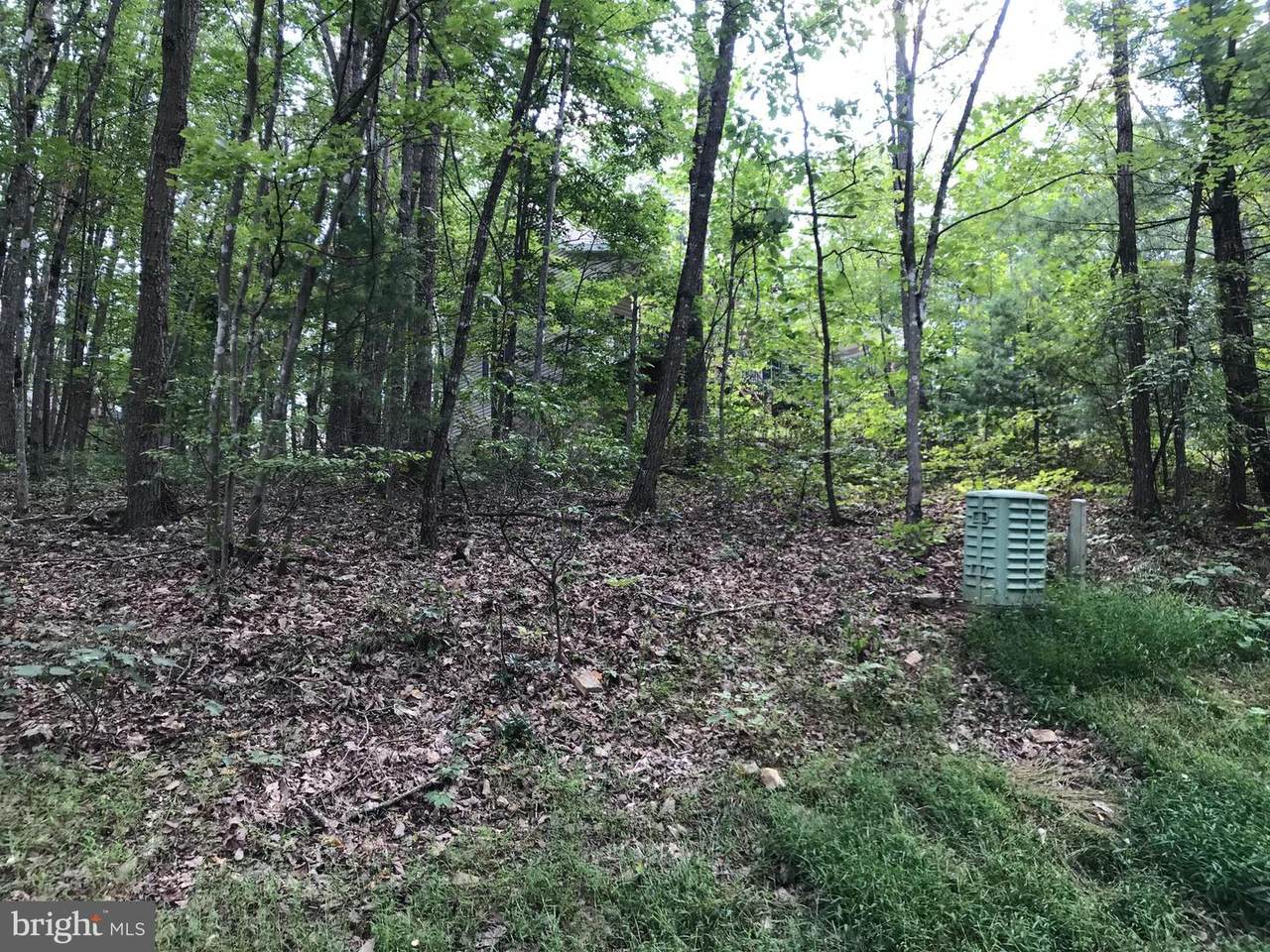 0 Mallard Drive - Photo 1