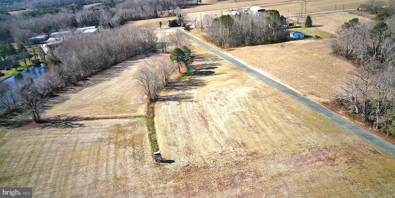 0 St Martins Neck Rd - Photo 1