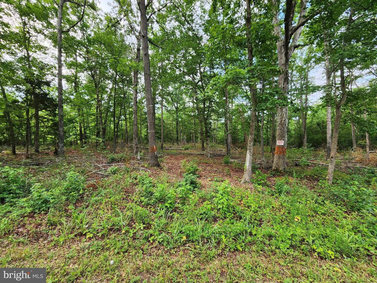 3555 Baptist Church Road - Photo 1