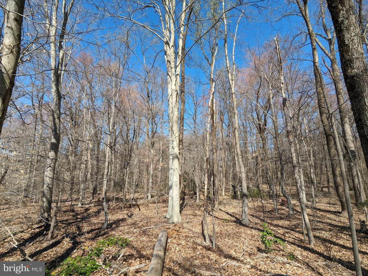 Danville Road - Photo 1