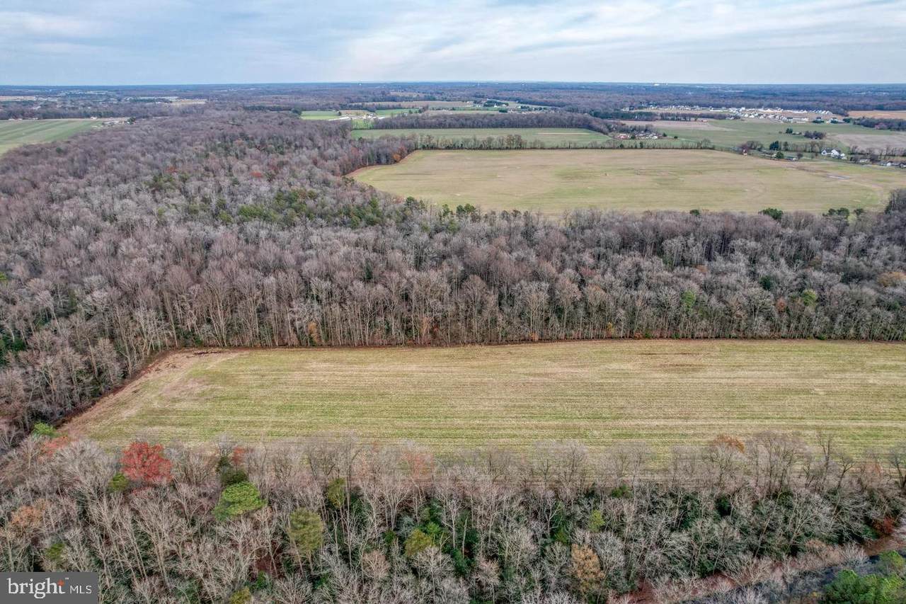 2.75 Acres Hunting Quarter Road - Photo 1