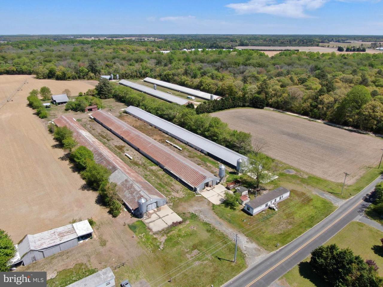 12911 Trussum Pond Road - Photo 1