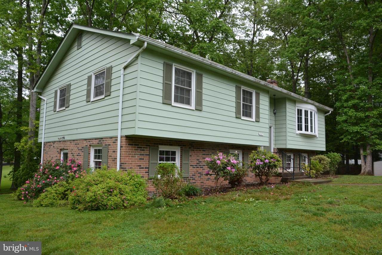 12013 Bradley Forest Road - Photo 1