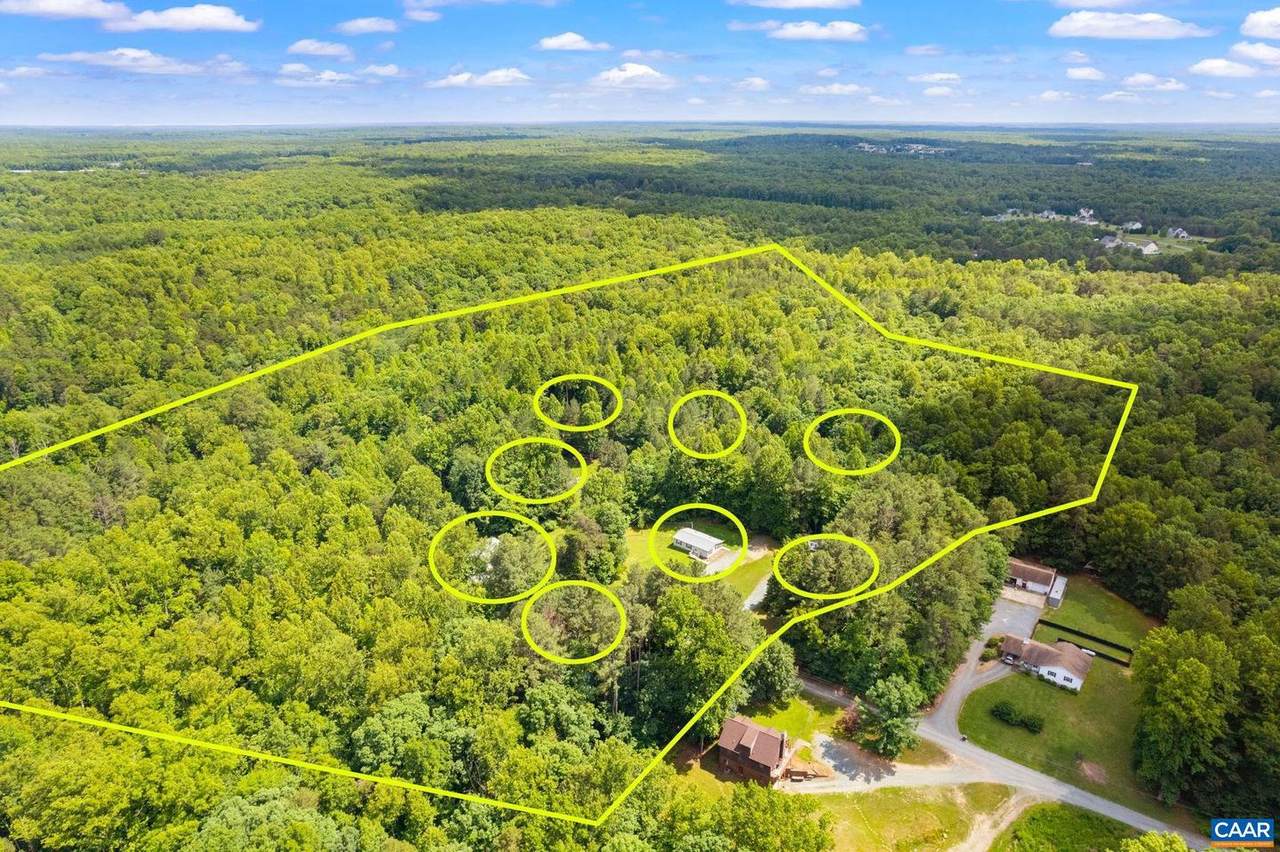 200 P Paw Ln - Photo 1