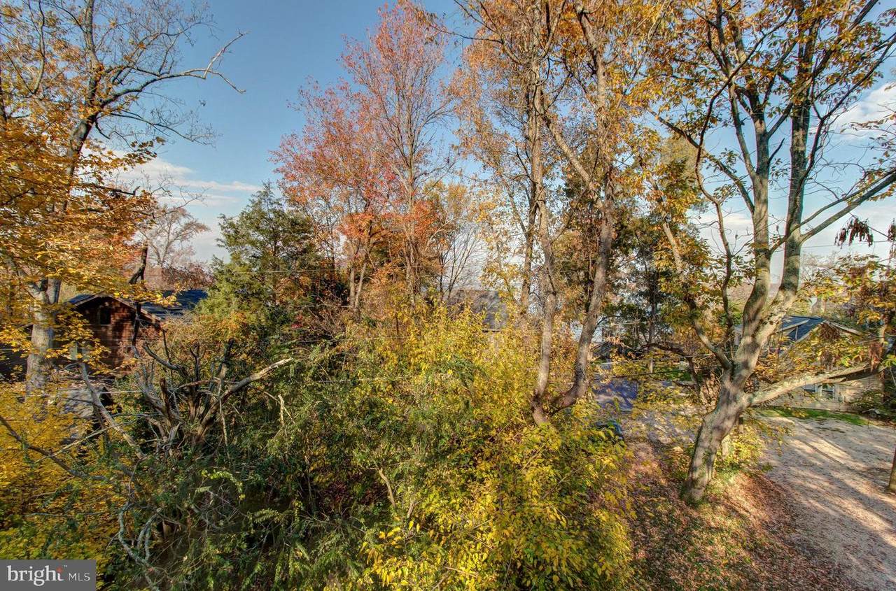 11505 Potomac Road - Photo 1