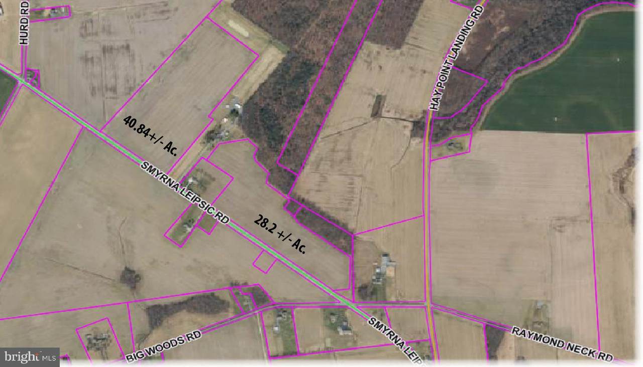 0 Smyrna Leipsic Road - Photo 1