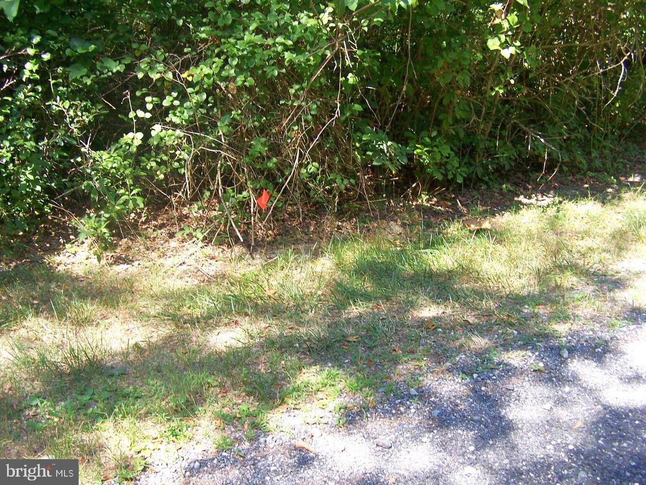 https://bt-photos.global.ssl.fastly.net/brightmls/1280_boomver_1_803193158168-2.jpg