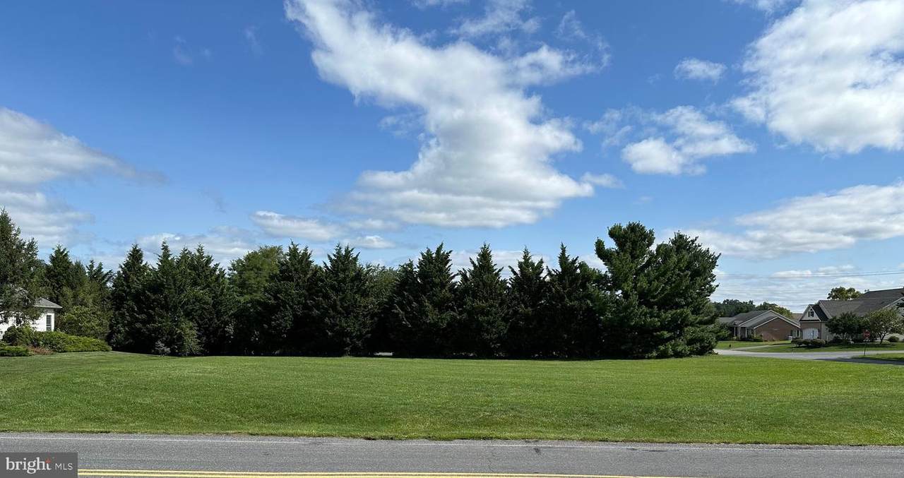 6470 Bent Oak Drive - Photo 1