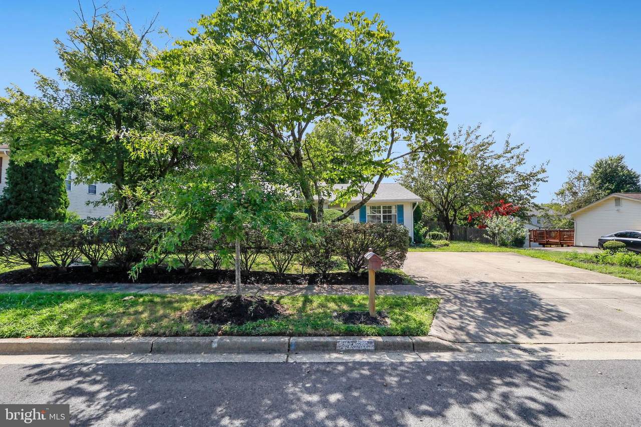 10711 Wyld Drive - Photo 1