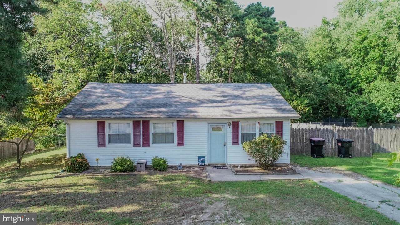 1974 Pine Street - Photo 1